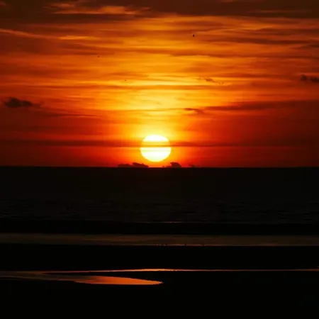 L'altéia - L'appart' Les Pieds Dans L'eau Place De Parking Et Accès Direct *