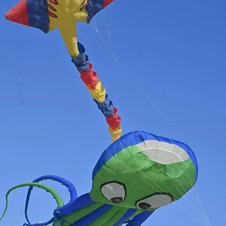 L'altéia - L'appart' Les Pieds Dans L'eau Place De Parking Et Accès Direct Appartement Berck