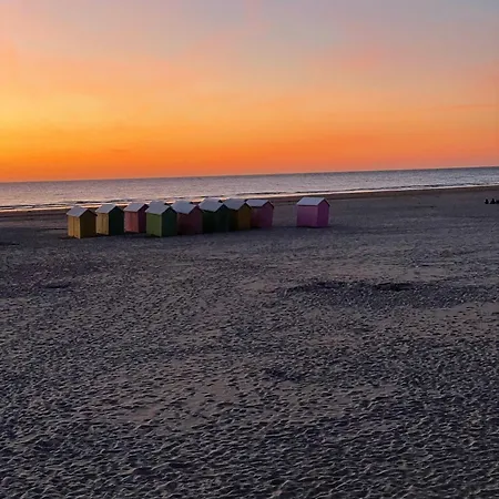 L'altéia - L'appart' Les Pieds Dans L'eau Place De Parking Et Accès Direct * Berck